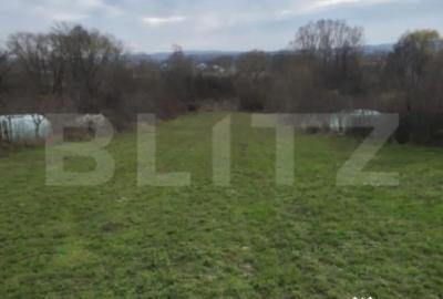 Teren de 3000 mp, în Plopu - 3