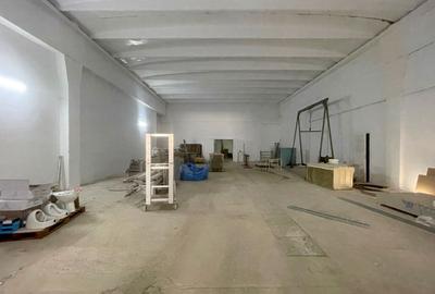 Hale industriale de inchiriat in zona Aradului - 5