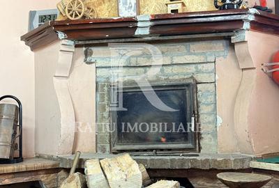 Casă cu 5 camere cu Teren 4458 Mp în Bratca - 15