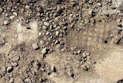 Teren de 1000 mp, în Butea - 10