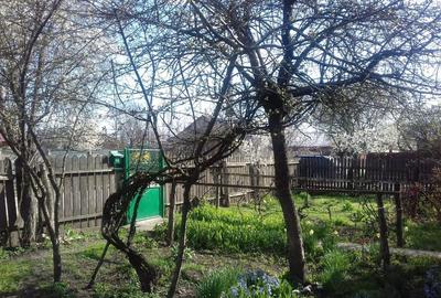 Casă cu 2 camere în Central - 2