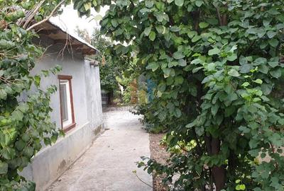 Casă cu 4 camere cu Teren 1800 Mp în Chiscani - 8