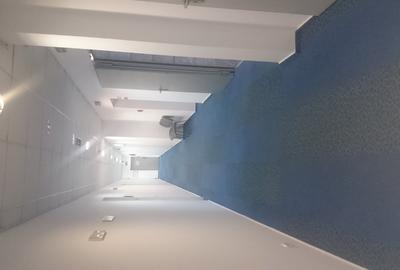 Birou, de 10,000 mp, în Sala Palatului - 3