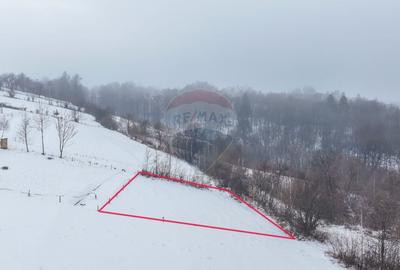 Teren 500 mp între Perdeluț și Tohanul Nou - 1