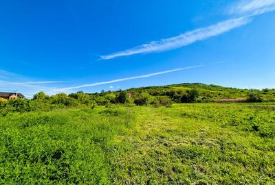 Teren intravilan Vranesti , Calinesti Arges - 5