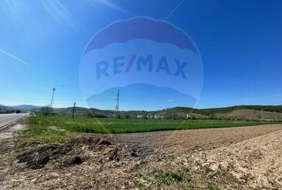 Teren intravilan  de vanzare Cristian , Sibiu - 3