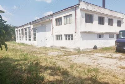 Spațiu comercial, de 288 mp, în Potlogi - 4