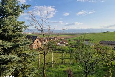 Spațiu comercial, în Șura Mare - 7