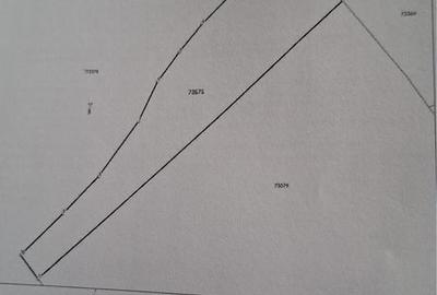 Teren de 3600 mp, în Exterior Vest - 10