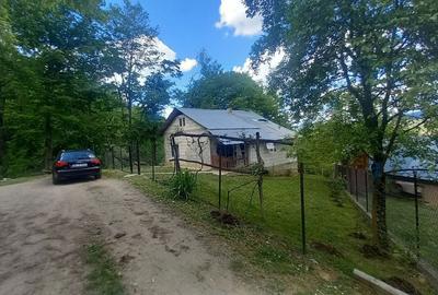 Casă cu 2 camere în Bratca - 3