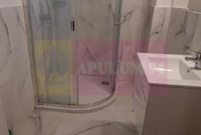 Inchiriere apartament de 2 camere in zona Mosilor-Bucur Obor, metrou - 9