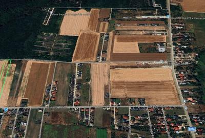 Dragomiresti Deal teren 6700 mp, padurea Ileana, utilitati, asfalt - 6