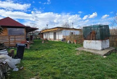 Herneacova-Casa si Teren-Livada- 2876 mp- Front 37m - 8