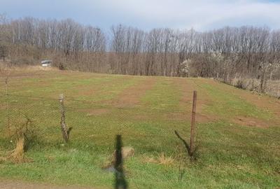 Spațiu comercial, în Moșoaia