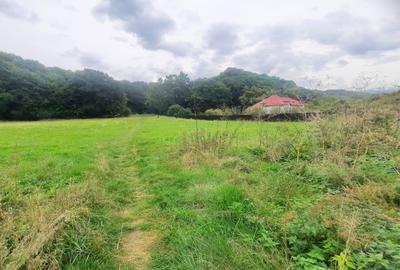 Teren superb Rasnov str Izvorului Cartierul Primaverii - 12