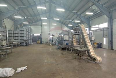 Spațiu industrial, de 1,120 mp, în Dumbrăveni - 27