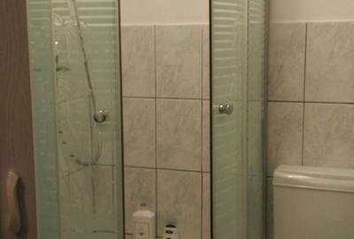 Inchiriez garsonierra zona Buziasului - 2