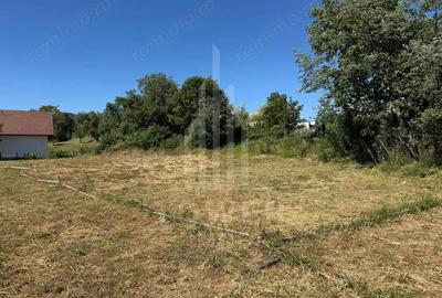 4 Parcele de vanzare | Rasinari - 9