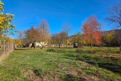 Teren intravilan in Buzau, sat Tega, 3300 mp - 3