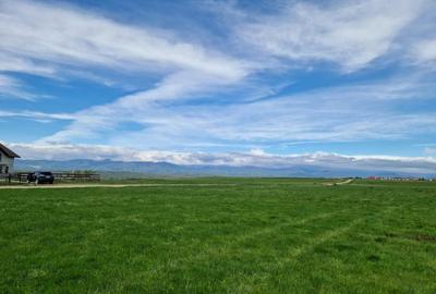 Teren extravilan 25.254 mp in zona Preajba - 7