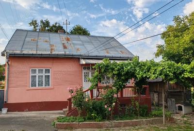 Teren de 7800 mp, în Pătrăuți - 4