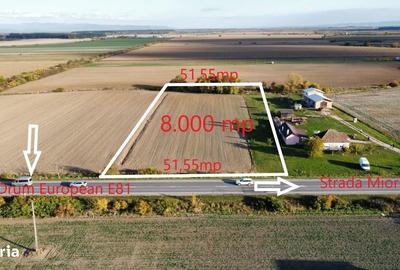 Teren de 8000 mp, în Botiz - 11