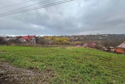 Teren Construcții intravilan de 4300 mp, în Popas Păcurari - 3