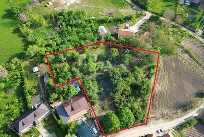 Teren intravilan 3.269 mp in Slimnicpanorama superba... - 15