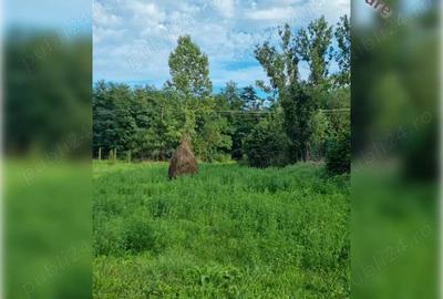 Teren de 1800 mp, în Ciurila - 1