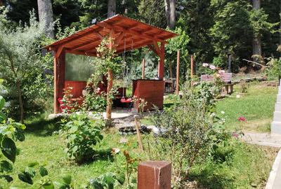 Busteni zona garii apartament 3 camere in vila - 1