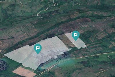 Teren arabil de 87 hectare in Bara, Timi? - 6