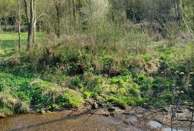 Spațiu comercial, în Șinca - 7