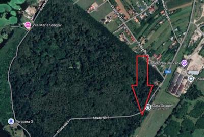 Teren cu deschidere la Padurea Snagov- Gruiu - 5