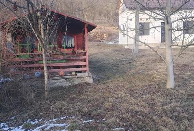 Casă cu 2 camere în Central - 1