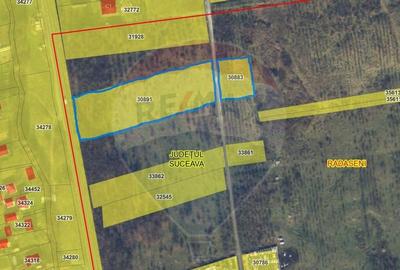 Teren 10,000mp Rada?eni / ?oseaua DN2-E85, jude?ul S... - 3