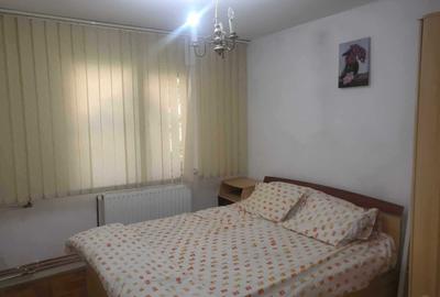 Apartament cu 2 camere semidecomandat, mobilat în Boul Roșu - 6