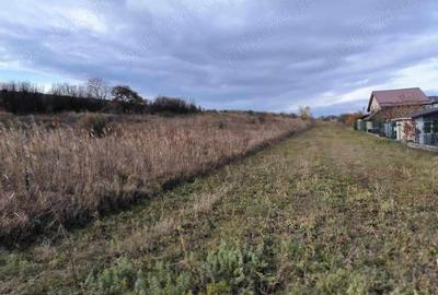 Teren de 3000 mp, în Iris - 2