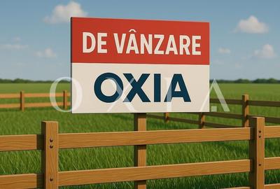 AX1105 Teren Intravilan Bucovat, Strada Principala, 40.600 MP - 16 Euro/MP - 3