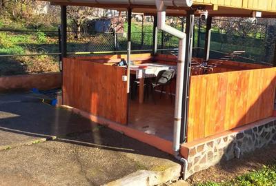 Casa Mihaesti la 12 km de Valcea - 2