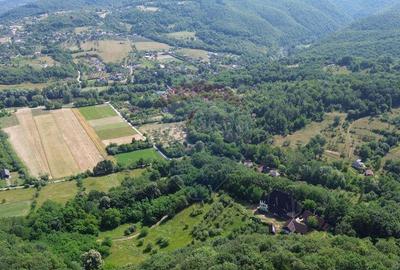 CASTEL de Vanzare in Berchezoaia MaramuresOaza de Lini... - 11