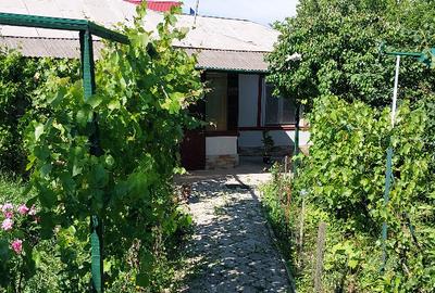 Casa la sosea langa bucuresti gorneni DN6/E70 30km de pta unirii - 7