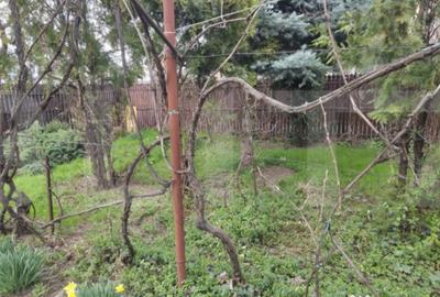 Casă cu 3 camere cu Teren 400 Mp în Central - 3