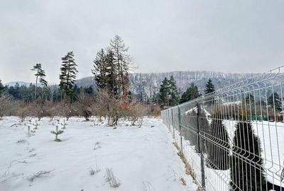 Teren intravilan - Sacele - Brasov - 12