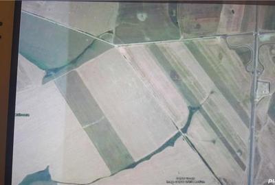 Teren de 95000 mp, în Orțișoara - 2