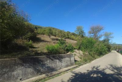 Teren de 1274 mp, în Criș - 2