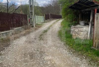 Teren de 784 mp, în Nistorești - 3