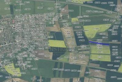 COMISION 0% Terenuri agricole 10.750mp si 700mp| Recas - 3