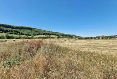 Teren de 626 mp, în Betfia - 2