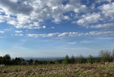 Spațiu comercial, în Dealu Mare - 5