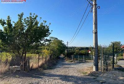 Teren intravilan de vanzare in localitatea Nufaru - 5